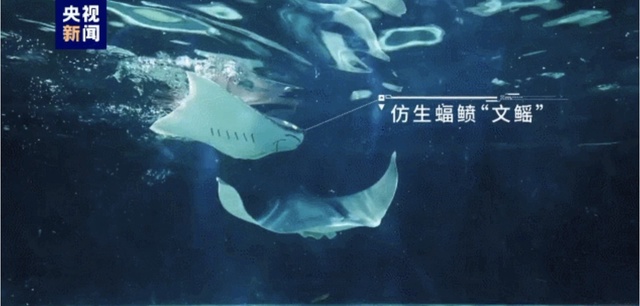 真假难辨！这条仿生鱼有“眼睛”“耳朵” 还有“智慧大脑”